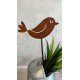 Pinche/Tutor Pajarito